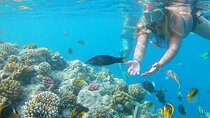 Snorkeling Tour to Orange Bay and Giftun Islands from Hurghada