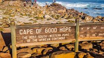 Full Day Cape Peninsula Tour