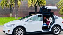 San Francisco Top Sights Private Tour with a Luxury Tesla 
