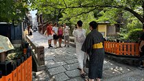 Kyoto: Half-Day Private Tour Gion Geisha Districts & Kiyomizu