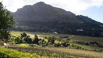Private Full Day City and Winelands Tour