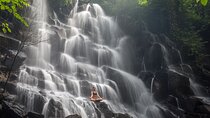 Rice Terraces, Sacred Temples and Waterfall Tour from Ubud