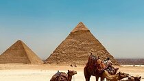Day tour to the Great pyramid & the Egyptian Museum 