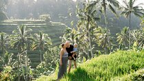  Monkey Forest, Temple, Waterfall and Rice Terrace in Ubud Tour