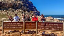  Cape Peninsula &Penguin Sightseeing in Private Car Full Day Tour