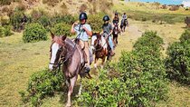 Horseback riding around Sacsayhuaman, Cusco