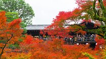 Exploring Autumn Foliage: Tofukuji, Fushimi Inari, and Uji Tour