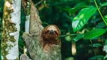 SLOTH PARK ADVENTURE La Fortuna