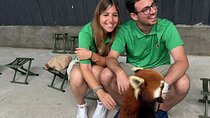 Unique One-Day Tour: Interactive Experience with Red Pandas