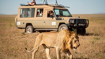 7-Day Premium Luxury Tanzania Safari All-Inclusive