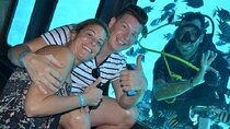 Semi Submarine and Snorkeling Sea Trip with Transfer – Hurghada