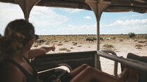 3-Day Safari Adventure Tour at Etosha National Park from Windhoek