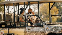 3 Hour Private Safari Game Drive in Zambezi National Park