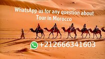 1 night Camel Treking in Merzouga Desert Luxury Camp