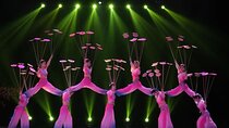 Beijing Acrobatics show & Hutong Snack Street Walking PrivateTour