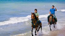  Beach & Desert Horse Ride, Swimming and Dinner - Hurghada
