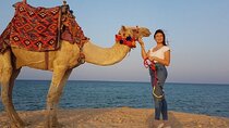 Experience Camel Riding in the Stunning Desert - Hurghada