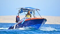 Hula Hula Island by Private Speedboat with Parasailing - Hurghada