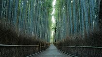 Kyoto Arashiyama Bamboo Forest Hiking Tour（Hidden Temples）