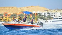 Hurghada: Private Speedboat Dolphin House Trip with Transfer 