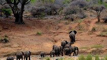 8-Day Private Safari Tour of Kenya from Nairobi