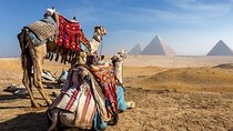 Cairo Day Tour with Private Transfer and Lunch – Sharm El Sheikh