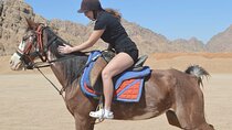 Horse Riding One hour At Amazing Desert With Transfer - Hurghada