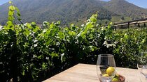 Private Chilean Wine Route Colchagua Valley Day Trip