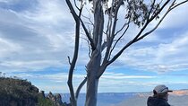 Private Blue Mountains Eco Day Tour