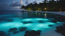 Grand Cayman Bioluminescence Adventure