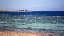 3 Pools National Park by Bus & ATV Quad & Camel - Sharm El Sheikh