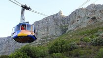Table Mountain National Park and Penguins Colony Half Day Tour