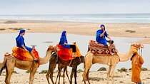 Safari Camel Ride in Banana Beach from Agadir