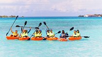 Aruba Kayak Explorers