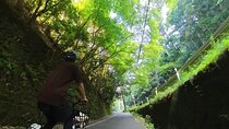Explore Arashiyama: Bamboo Groove with a Japanese local by E-BIKE
