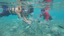 Private Guided Snorkeling Tour in Gili Nanggu Sudak and Kedis
