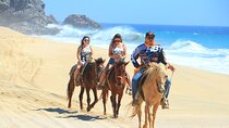 Cabo White Sand Horseback Riding Tour and Tequila Tasting 