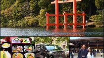 All Inclusive Private Tour Make your Own Adventure in Hakone