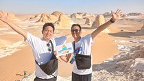 2 Days White Desert and Bahariya Oasis Tour 