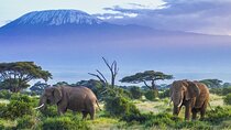 6-Days of Elephants, Wildebeest and Big 5: Kenya’s Classic Safari