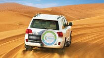 Exhilarating Desert Safari, Including BBQ Dinner from Dubai