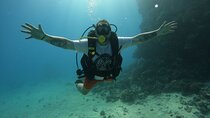 Hurghada Diving Adventure one Day with two Dives Boat Trip