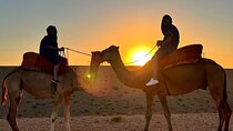 Sunrise Camel Ride and Breakfast in Agafay Desert from Marrakech