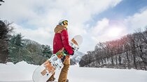 [Seoul Departure] Olympic Venue Phoenix Park Ski/Snowboard/Lesson