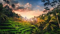 Ubud: Waterfall, Rice Terraces & Monkey Forest Private Tour