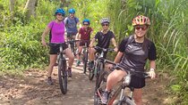 Ubud Wonderful Half Day Downhill Cycling Tour with Lunch