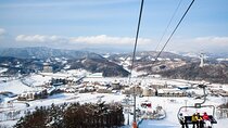Pyeongchang Olympic Venue: Phoenix Ski/Snowboard Resort 2N1D Tour