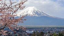 2 Days Tokyo ,Mount Fuji / Hakone Private Tour from Tokyo