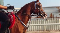 Private Horse and Camel Riding Experience in Doha