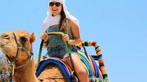 Adventure Camel Riding in Wonderful Desert one Hour - Hurghada